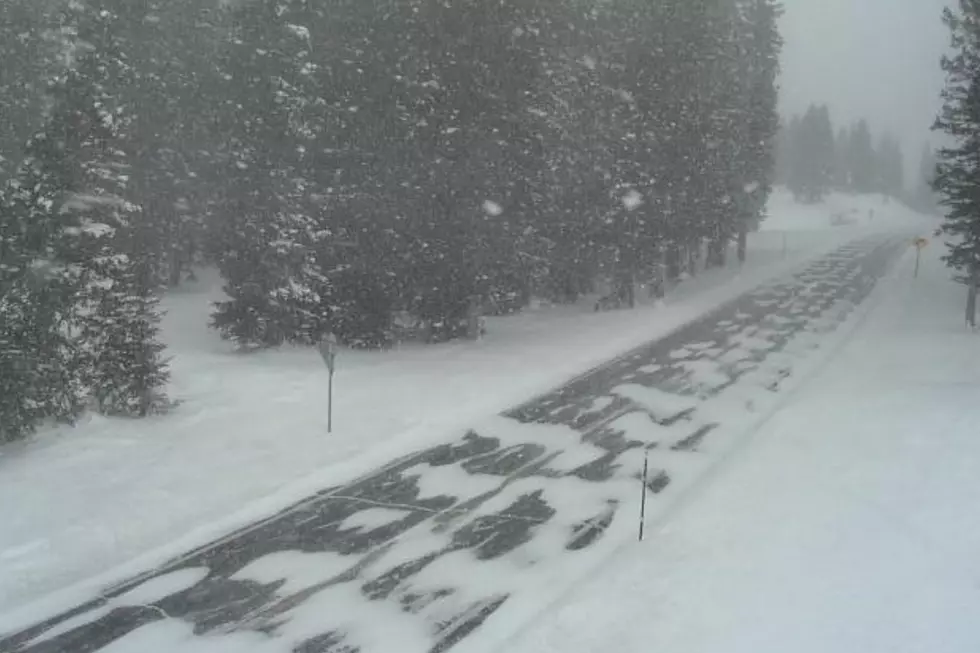 Check Out This Morning’s Snow on the Grand Mesa