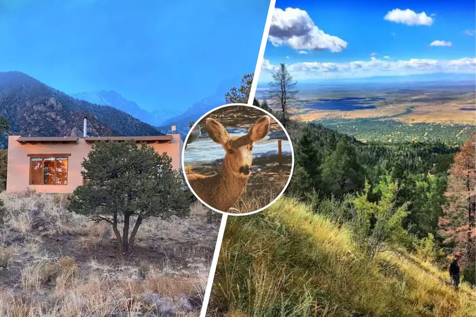 Dreamy Solar-Powered Adobe Airbnb On Three Acres in Colorado Perfect Place to Stargaze